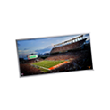 Backlit stadium piece image